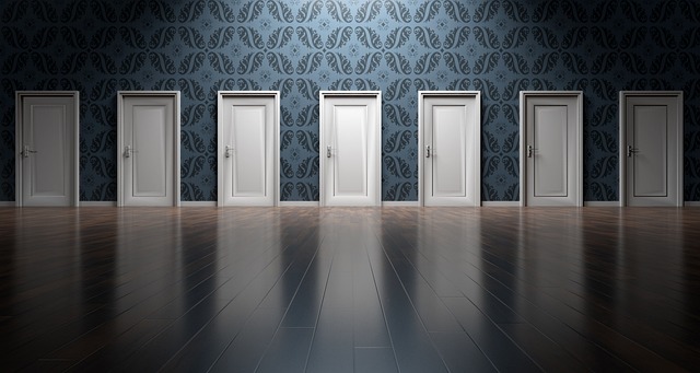 What door to choose